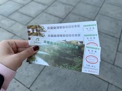 -金龙寺国家森林公园