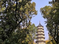 -灵谷景区