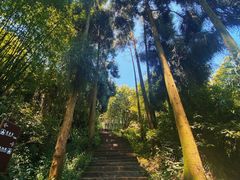 -峨眉山风景名胜区