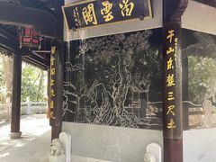 -上海佘山国家森林公园天马山园