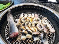 滋补活鳗鱼-红泥小火炉·东北泥炉烤肉(天一旗舰店)