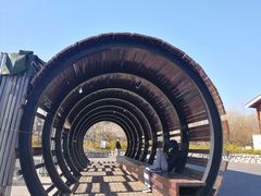 -永定河休闲森林公园