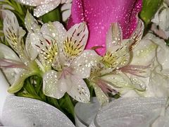 -新荟城(望京店)