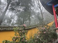 -九华山风景区