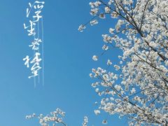 -临平公园(临平街道)