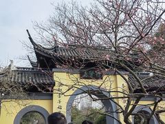 -红梅公园
