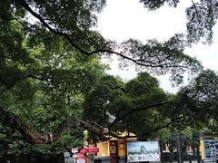 -桂林独秀峰王城景区