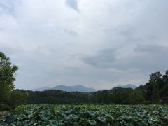 -清漾毛氏文化村