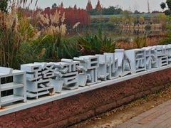 -白鹭湾湿地公园
