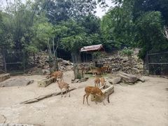 -乐和乐都动物主题乐园