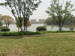 -玉潭苑公园