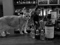 -咖法森林·咖啡  酒吧(天河店)