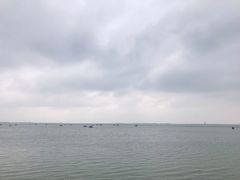 -滆湖低碳生态公园