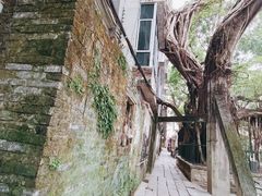 -小洲村