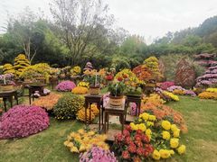 -杭州植物园