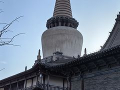 -张掖大佛寺景区