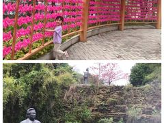 -广州神农草堂中医药博物馆