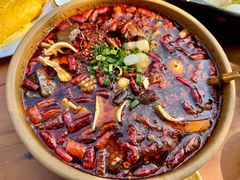 -青城甲(青城山店)