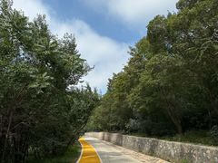 -北京西山国家森林公园