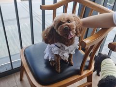 -太阳岛度假酒店