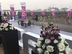 -南汇桃花村