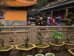 -普陀山风景名胜区-法雨禅寺