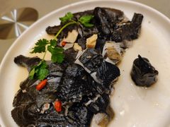 药膳鸡-沙龙酒家