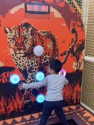 -卡通尼·Safari非洲探索乐园·生日会(金桥国际商业广场店)