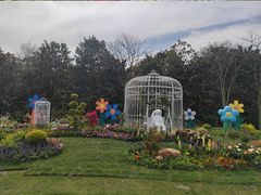 -上海共青森林公园