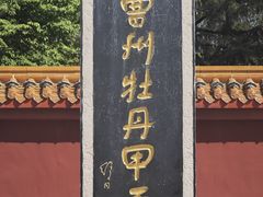 -曹州牡丹园