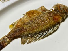 香煎黄脚立鱼-花城苑广府菜(侨鑫店)