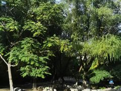 -莲花池公园
