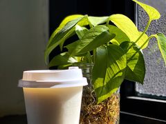 -Torch Coffee 炬点咖啡