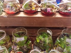 -酷乐潮玩(城西银泰城店)