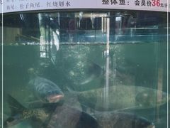 -聚鑫阁江浙菜·非遗传承技艺(青村帝华园店)