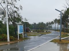 -万绿园