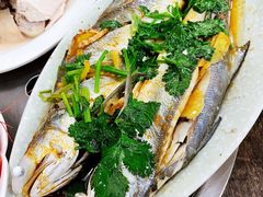 -力哥地道海南菜·联谊文昌鸡老店