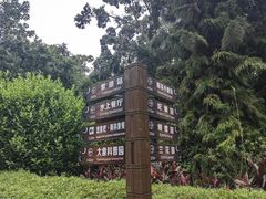 -野象谷景区