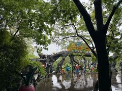 -天目湖山水园