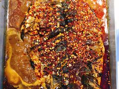 -鱼酷活鱼烤鱼(沈阳大悦城店)