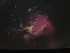 -上海佘山国家森林公园西佘山园