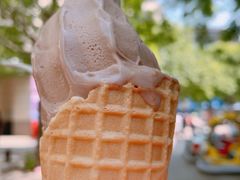 -野人先生现做冰淇淋(北京顺义祥云小镇店)