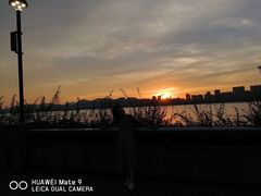 -海河游船-永乐码头(大悲院)