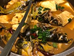 昂刺鱼豆腐煲-香浙汇(望京店)