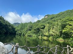 -洛阳白云山景区