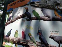 -九龙公园