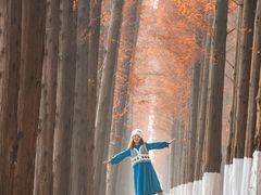 -黄海国家森林公园