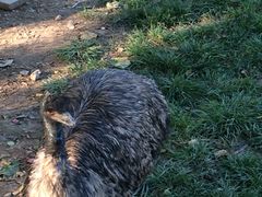 -石家庄市动物园