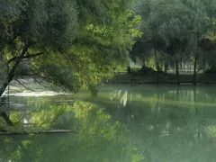 -长白岛森林公园