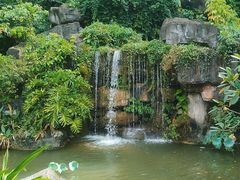 -广州神农草堂中医药博物馆